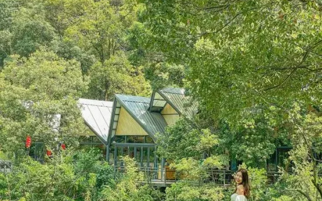 Habitat Creek Villa