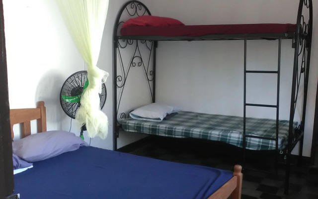 The Sleeping Dog Hostel