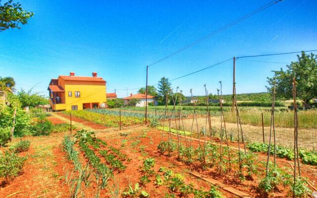 Apartment Marcana 1382