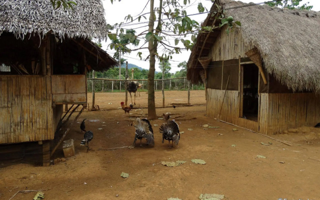 Sheridan Organic Farm and Eco Village