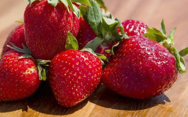 Jenny's Summer Houses