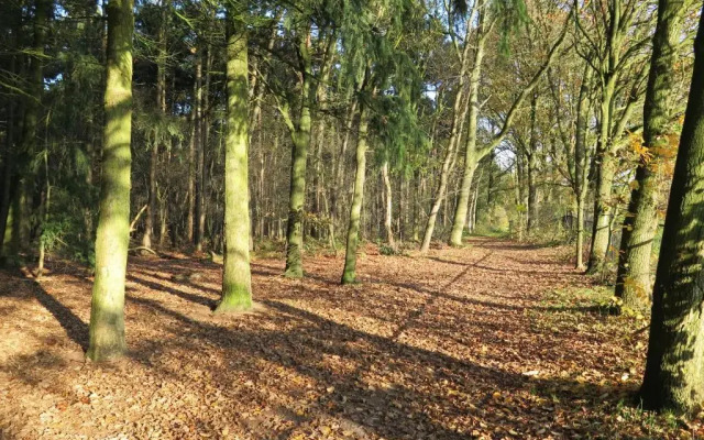 Appartement de Runsvoort