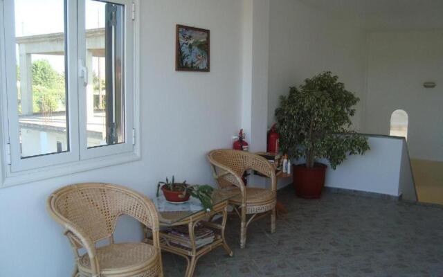 Olga Studio 2