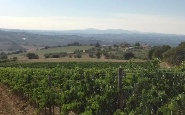 Podere Assolati