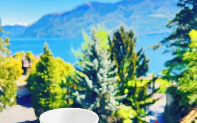 Spectacular Penthouse With Lake Views in Central Brissago