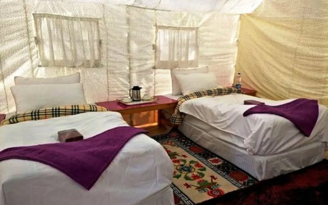 TIH The Regal Camp