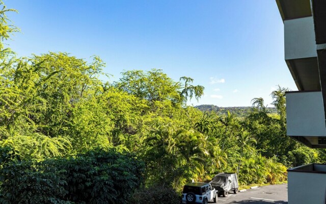 Honu Hale Minutes Away From the Beach!