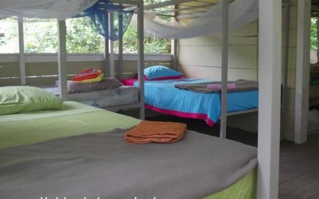 Bolita Rainforest Hostel and Cabinas