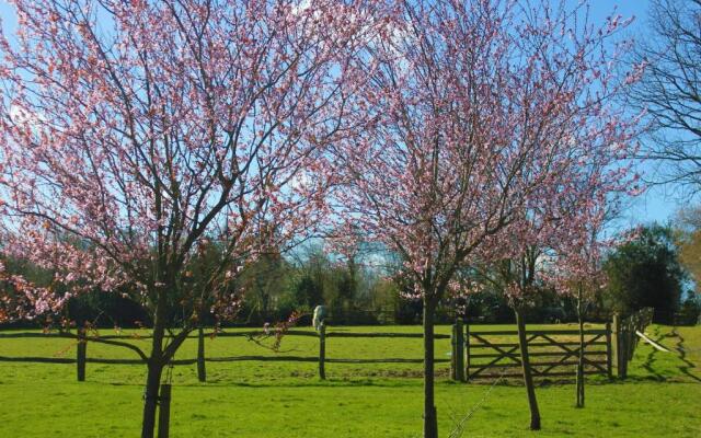Hopgarden Glamping - Luxury 6m bell tent