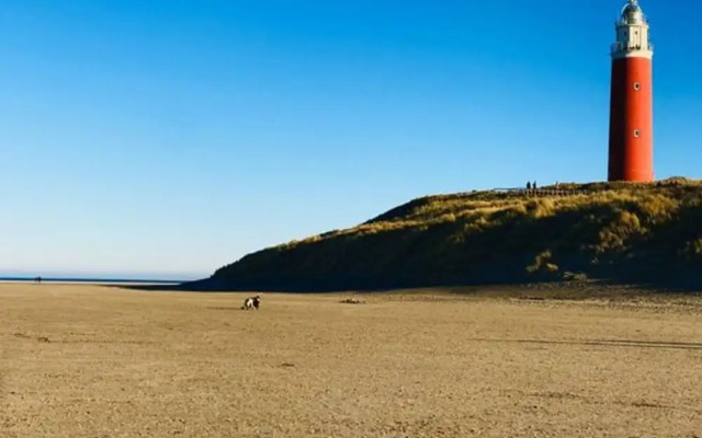 De Vlijt - First Class