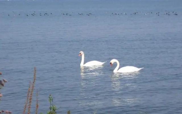 Das smarte Hotel garni