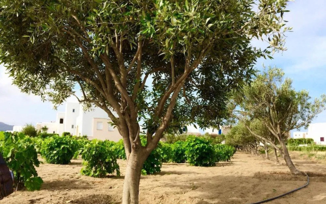 Mare Monte
