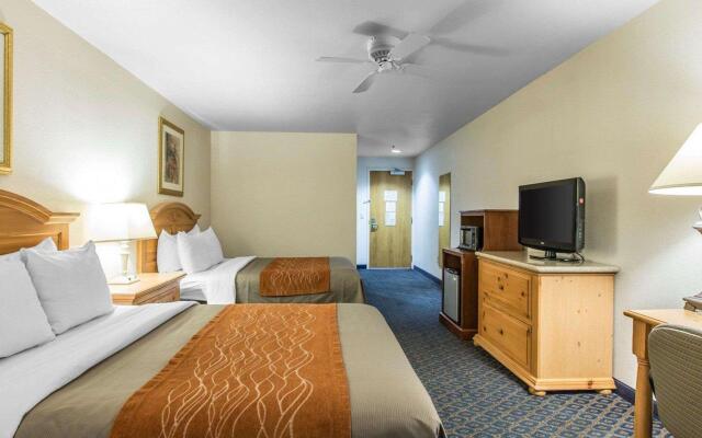 Comfort Inn & Suites Sequoia/Kings Canyon