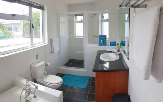 Hout Bay Backpackers