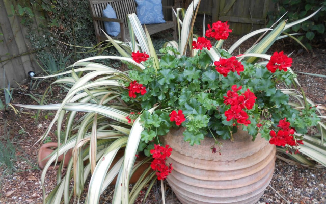 Sunnybank House in North Epsom