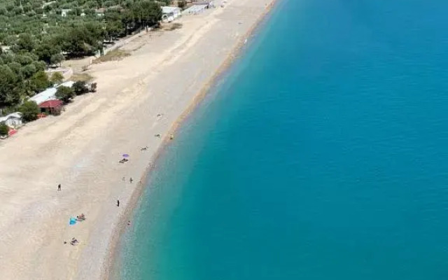 Orchidea Mattinata parco del Gargano