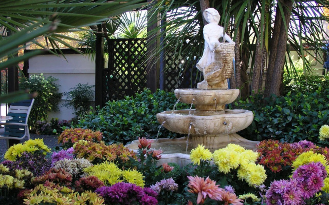 Roman Spa Hot Springs Resort