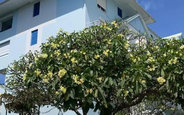 Superbe appartement vue sur mer