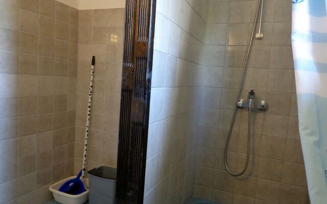 Apartment Brane - 150m from sea: A1 Bol, Island Brac