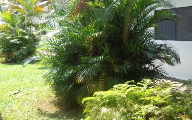 Rio Claro Plaza Hotel