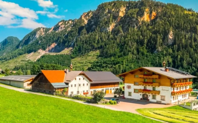 Ground Floor Apartment in Radstadt With Terrace