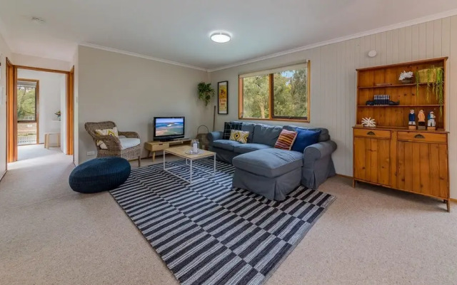 Florida Trees - Surf Side