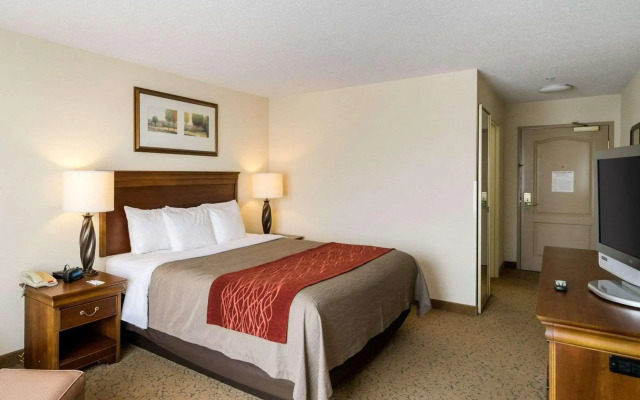 Comfort Inn & Suites Dover near Speedway