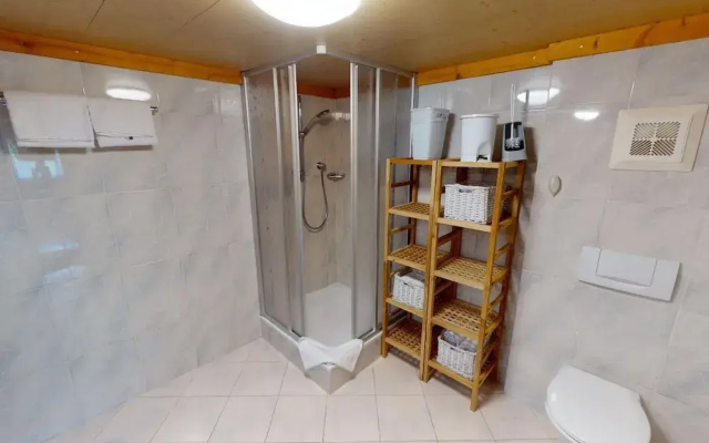 Chalet in Wildkogel Near Ski Slopes
