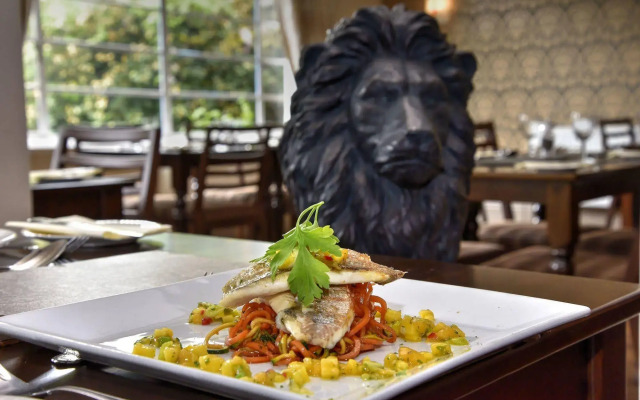 Lion Hotel and Studio Apartments