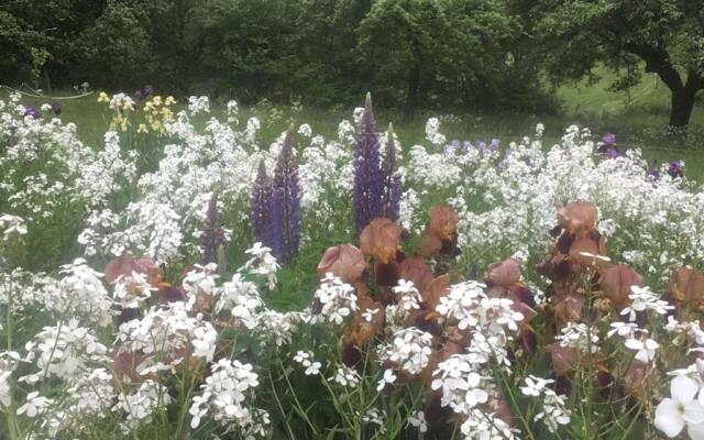 Kleine Villa im wilden Garten