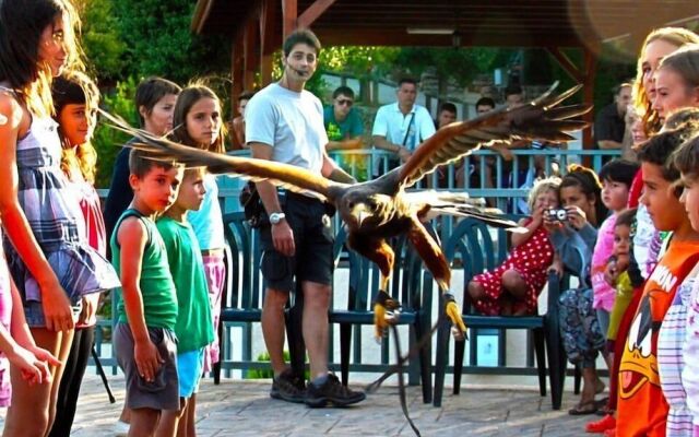 Serra de Prades Resort - Campsite