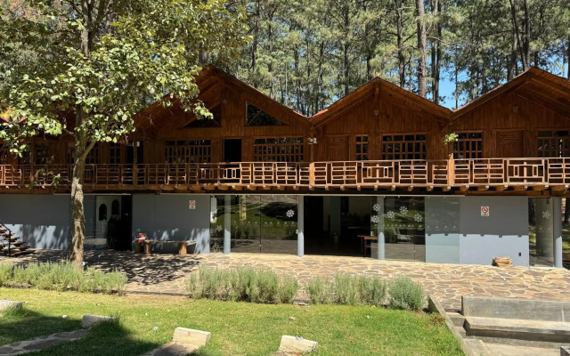 PINE TREE Hotel Boutique & Cabañas