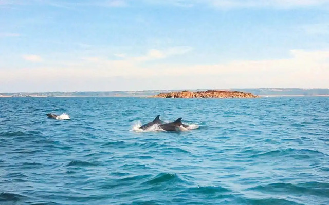 Nice Holiday Home Near the Beach, Hillion