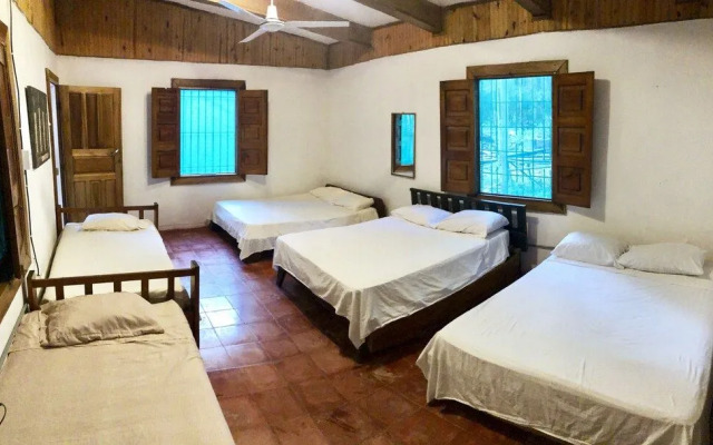 Tasty Dayz Hostel