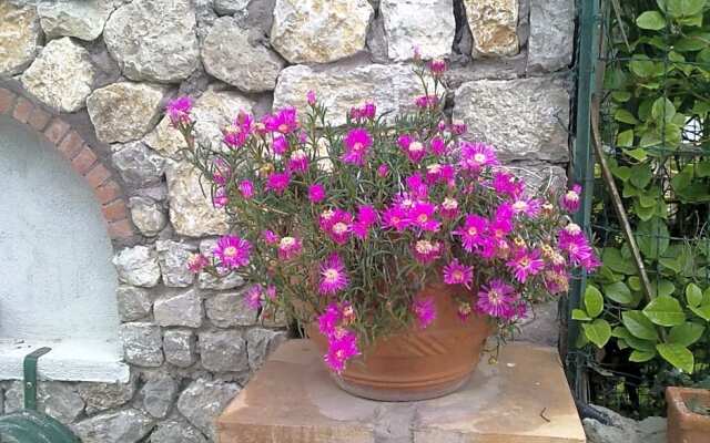 Il Merlo