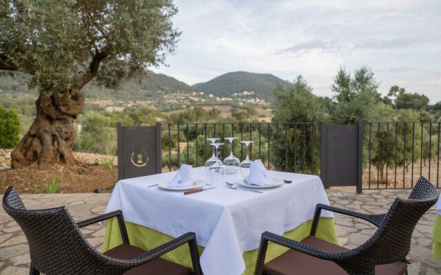 Treurer Olive Grove & Grand House - Adults Only