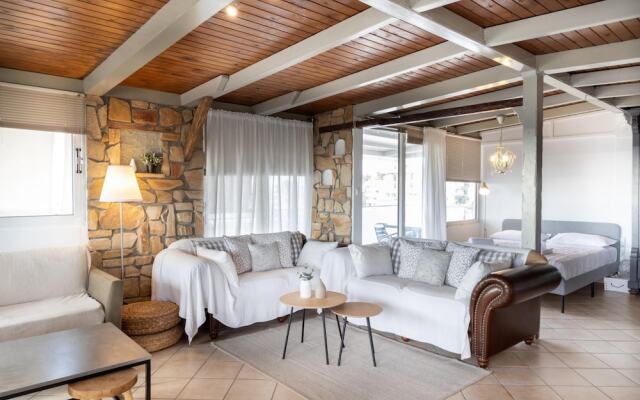 Sunny Loft With a Panoramic View