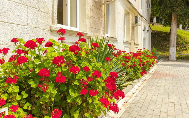 Репруа, корпус № 3 пансионата "Холодная речка"