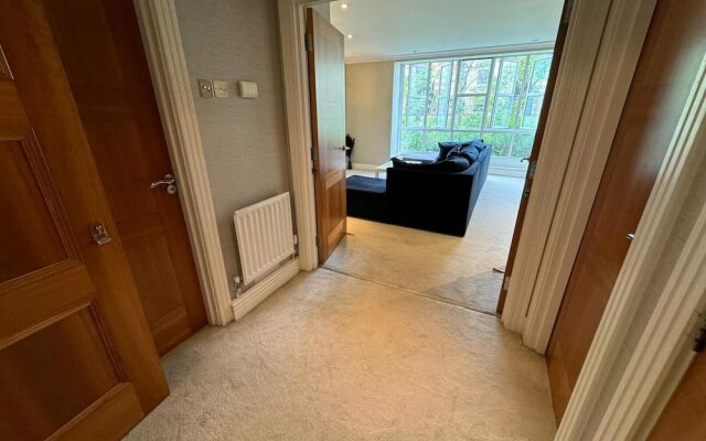 Luxury Apartment In London - Pool Spa & Gym
