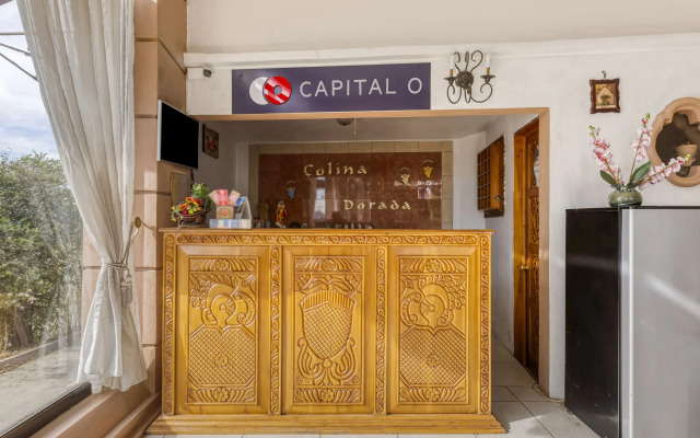 Capital O Colina Dorada