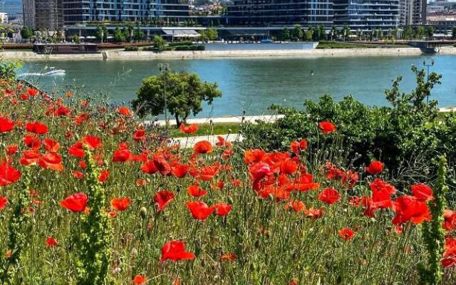 DOM Boutique Apartments - Park View