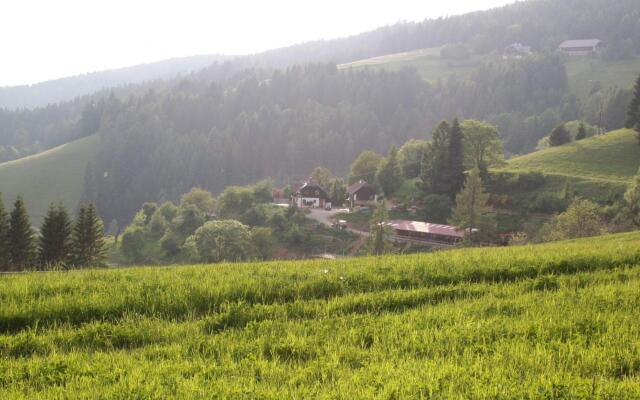Cosy Apartment in Liebenfels with Terrace, Garden