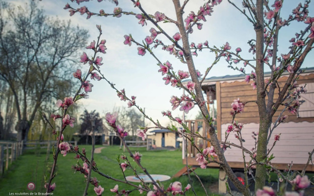 Les Roulottes de la Brauderie