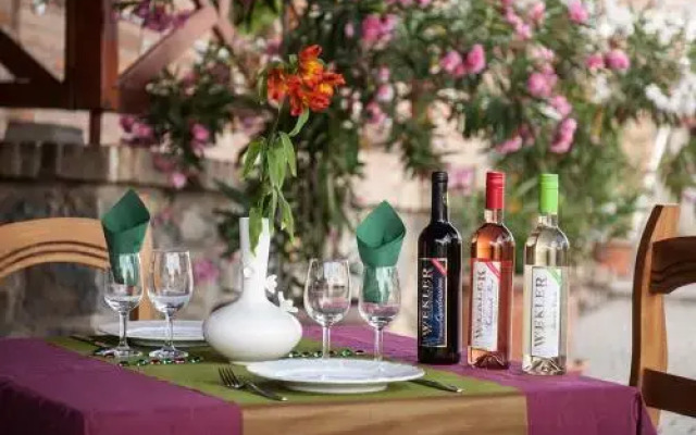 Wekler Családi Pincészet és Panzió