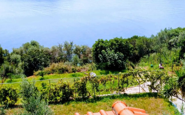 Green Sea Side Villa