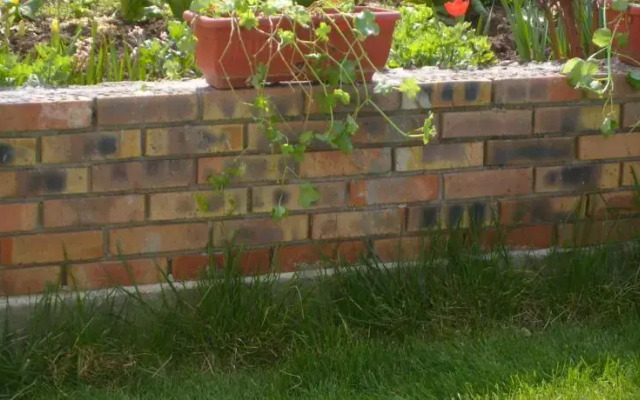 Sotirovi Guest House