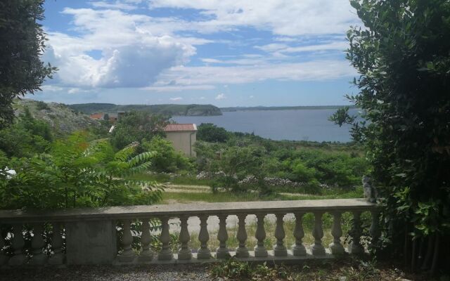 Moja Ane