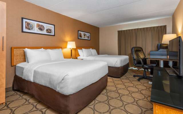 Comfort Inn South