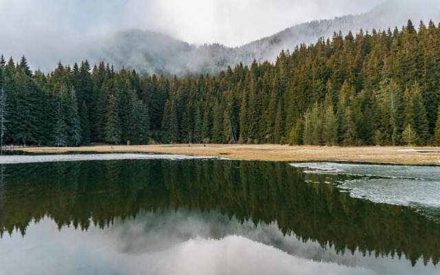 Boho Mountain Studio