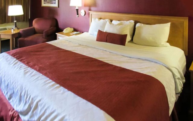 Quality Inn